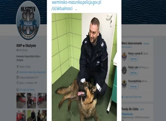 Dzięki mediom społecznościowym ranny pies wrócił do domu