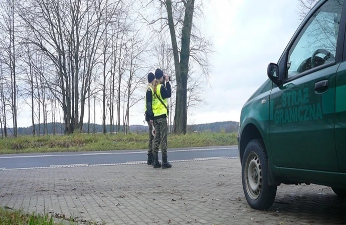 Pijany, bez uprawnień, z kradzionym drewnem